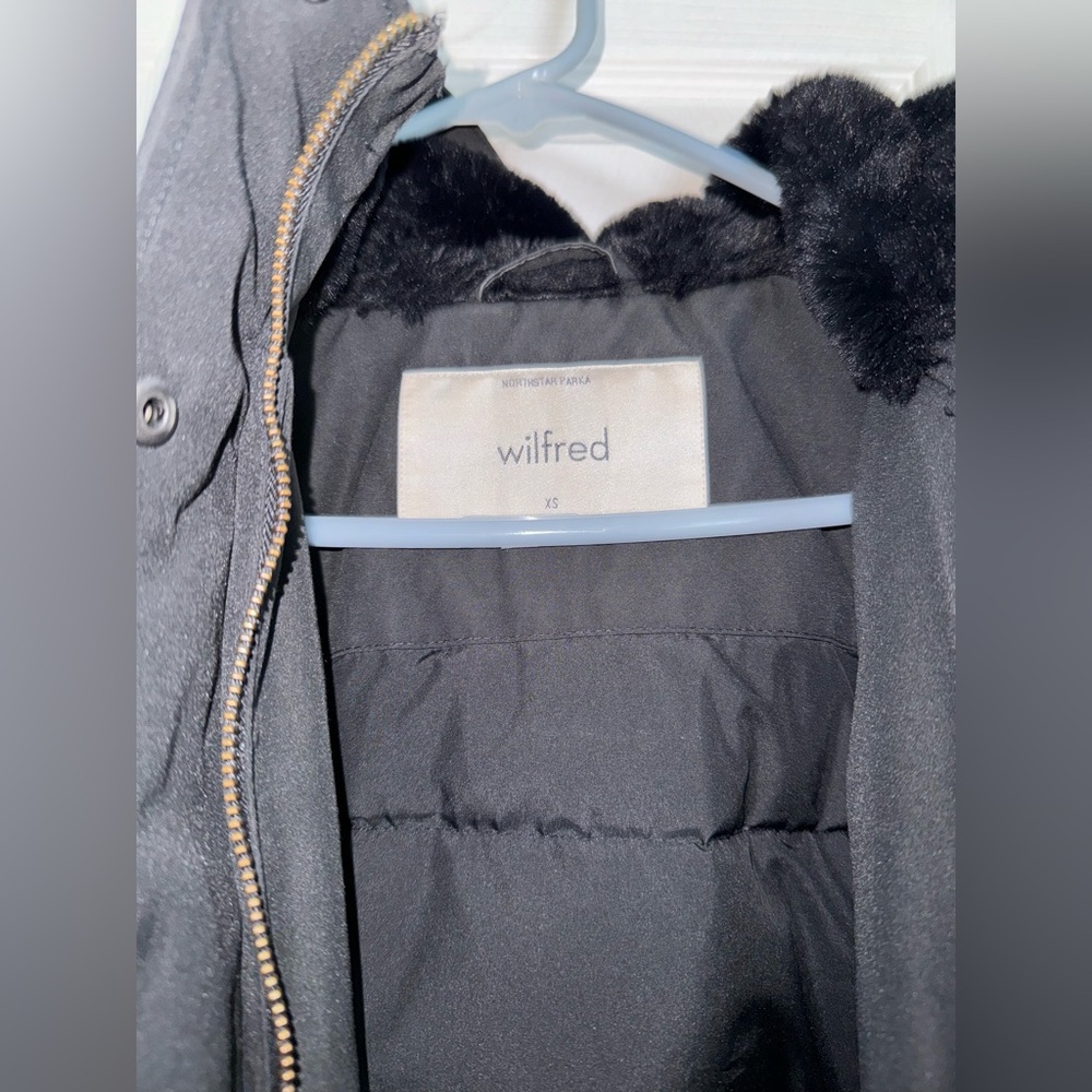 Aritizia Wilfred North Star parka!